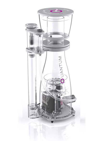 NYOS Quantum